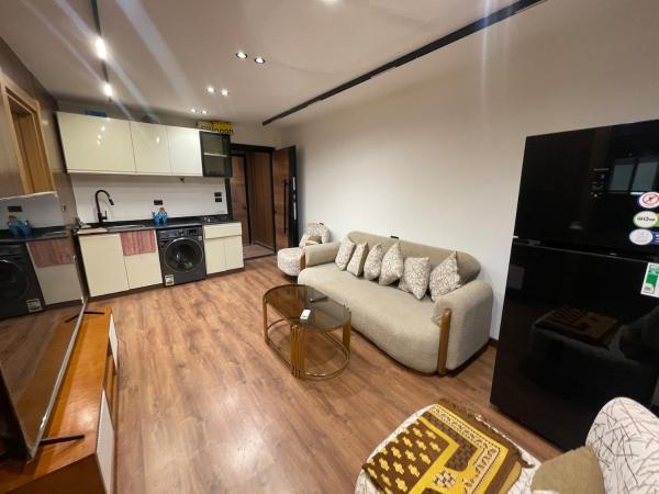 Modern Studio In The Heart Of Mohandesin - Gizeh