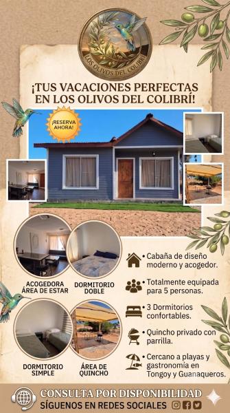 Los Olivos Del Colibri - Limarí
