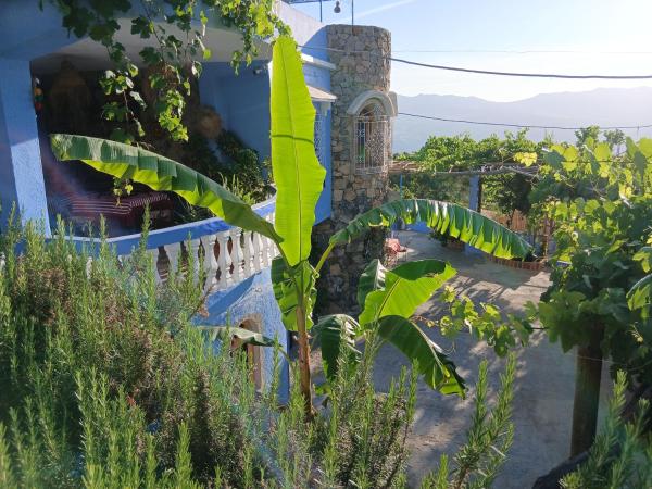 Blue House Town - 