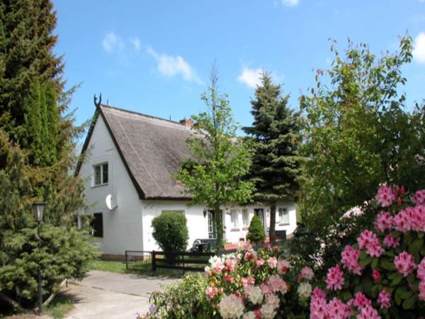 Ferienwohnung In Damerow Auf Usedom - Loddin