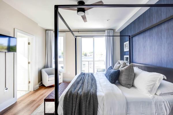 Luxury 12-br Dc Mansion- Rooftop Patio -Sleeps 28 - Washington, DC