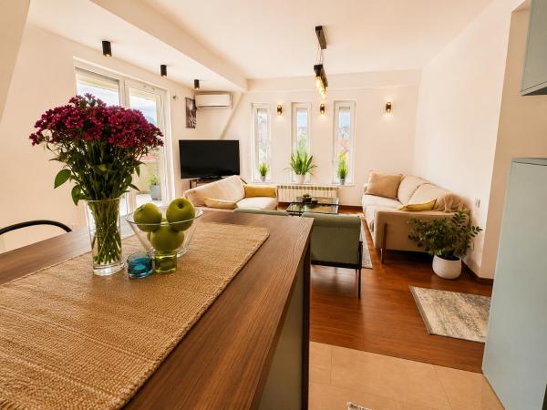 City Center Apartment With Free Parking 300mbps Mountain View Sony Appartments #1 - Skopje