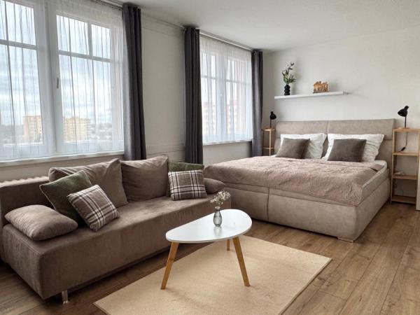 Smarty Choice Living With Free Parking - Vondroušova - Praga