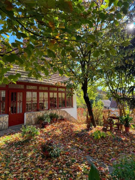 Casa Szatina - Hongrie