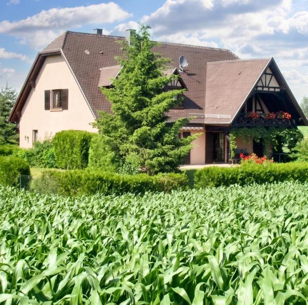 Appartement Charmant à Hochfelden - 100 M² Et Parking Gratuit - Saverne
