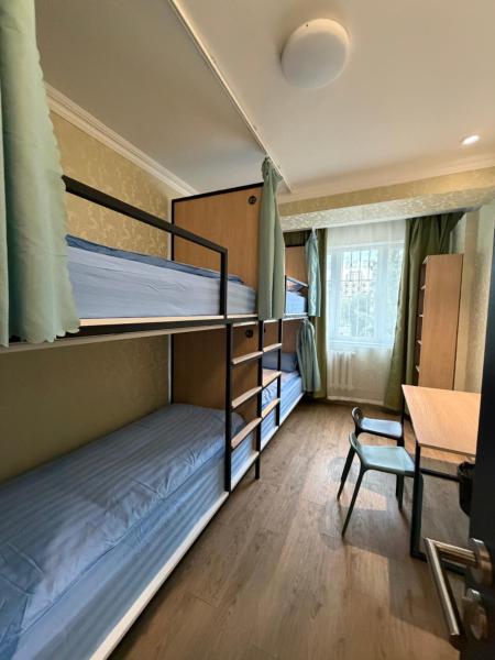 Mickey Central 2 Hostel - ウランバートル