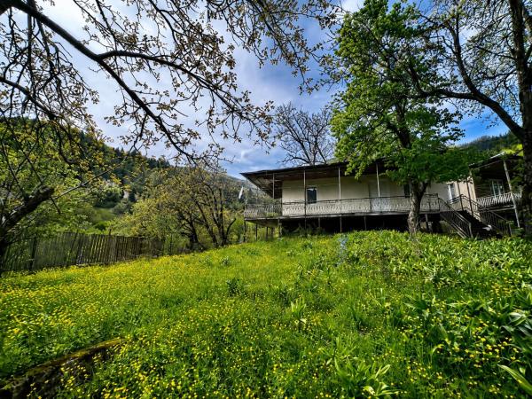 Utsera Veranda - Georgia