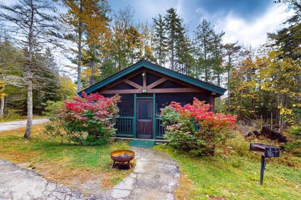 Adventure Ready Studio Cabin With Wooded Views, Fireplace, & Ac - 캠던