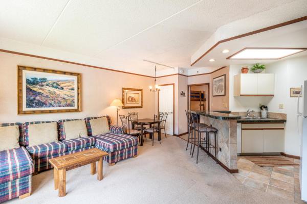 Telemark Lodge 314 - Copper Mountain, CO