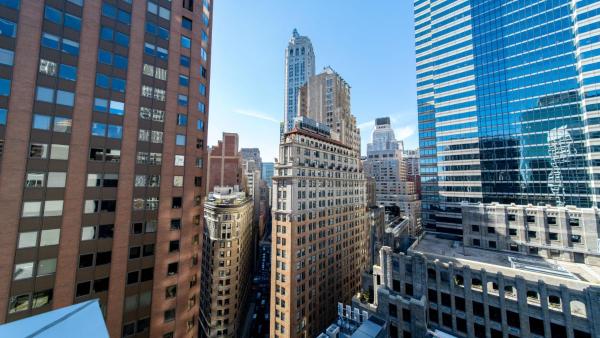 Hotel Indigo NYC Downtown - Wall Street by IHG, New York