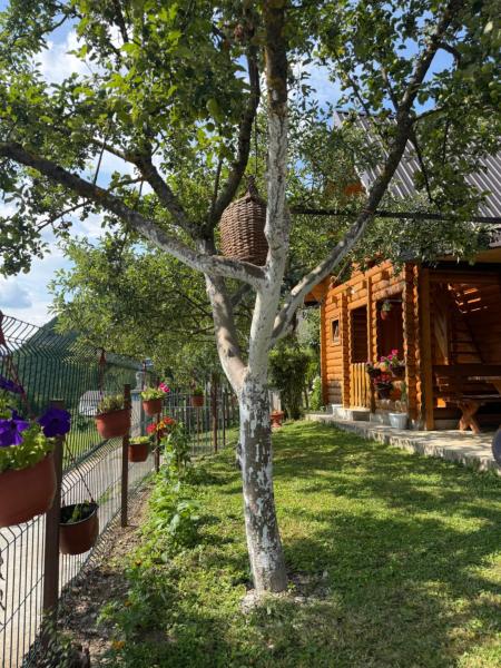Guest House Kollata - Montenegro