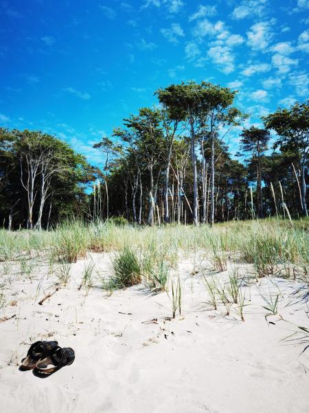 Haus Am Prerow-strand - Prerow