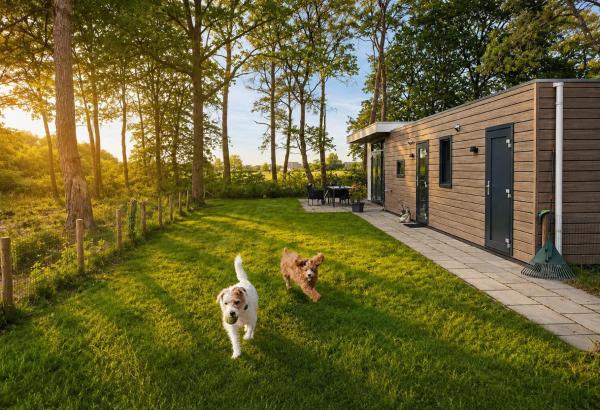 Casa Kwispel - Hondvriendelijk, Luxe, Natuur, Omheinde Tuin - Overijssel