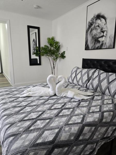 The Paradise Apartment 1 - Tampa