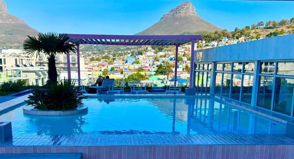 Urban Elephant, The Rose - Cape Town