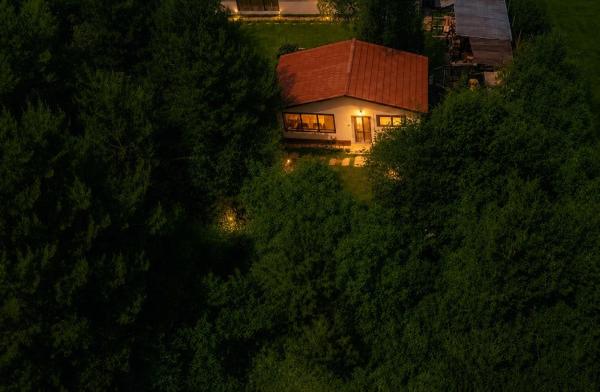 Forest Hide Tiny House - Covasna