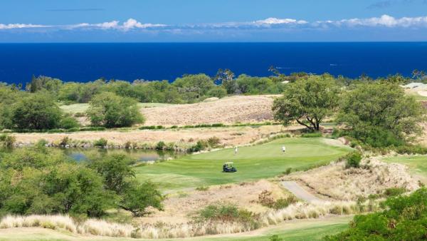 ❤Pih❤majestic Oceanocean Views Stunning Mauna Kea Resort Best Beaches Bikes - Waimea