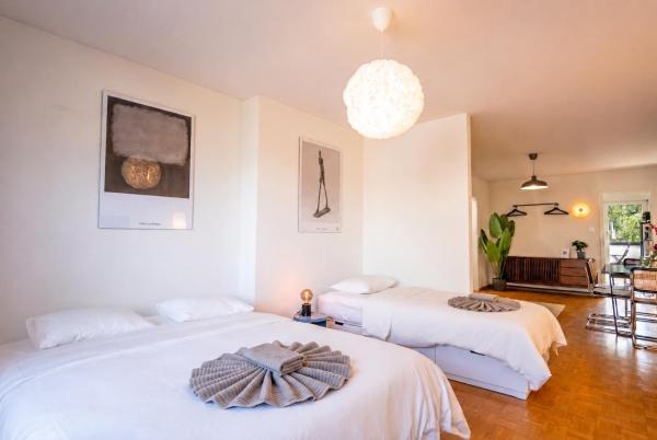 Penthouse With Two Balconies In The Heart Of Basel - Basel