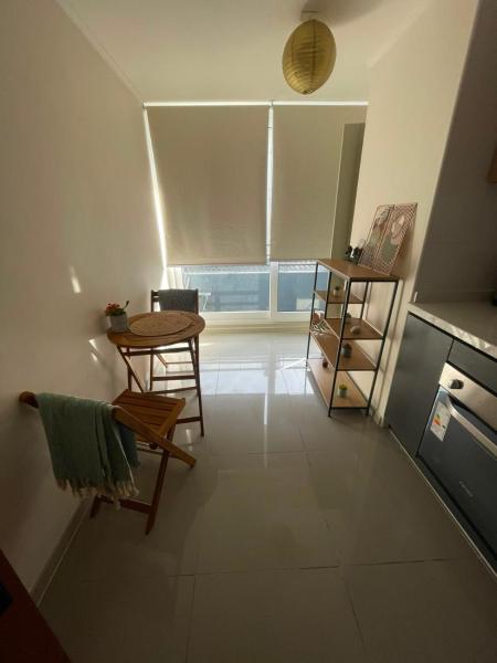 Departamento Cerca Movistar Arenas 3 - Santiago (Chile)