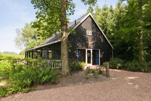 The Mansion - Drachten
