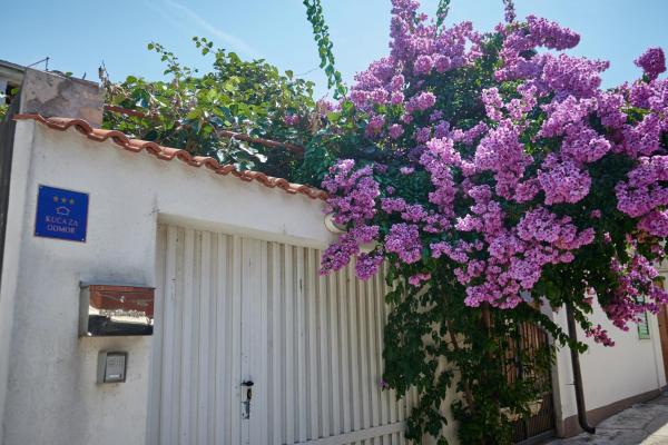 Holiday House Angelina - Biograd na Moru
