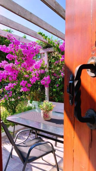 Apartments Anica With Parking - Rovinj