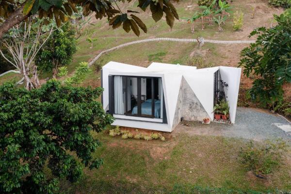 Lis2d55 - Bienteveo - Puerto Rico