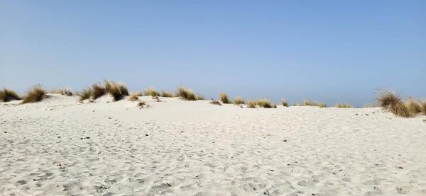Casa Vacanze S'arruga 'E Is Portalis - Teulada