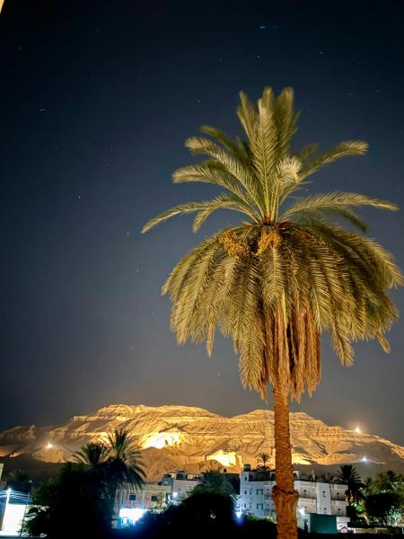 Al-sultan Hotel - Luxor
