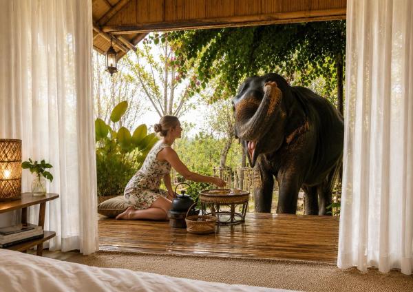 3pok Wake With Elephants - Mae Hong Son