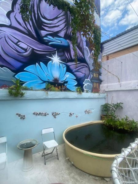 Erhu House - Guadalajara
