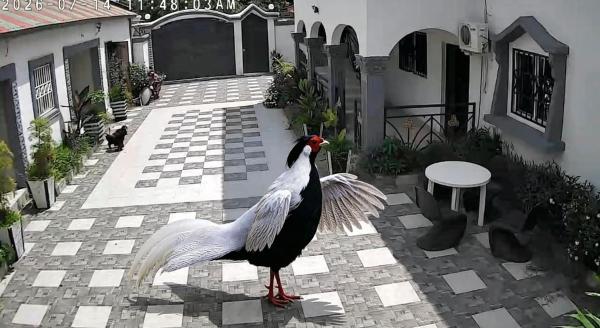 Cutting Edge Guest House