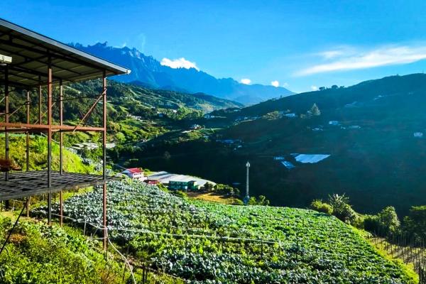 Triple A Kundasang - Ranau