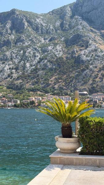 Lashin Aparts - Kotor