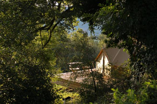 Tente De Glamping Avec Piscine - Tarn