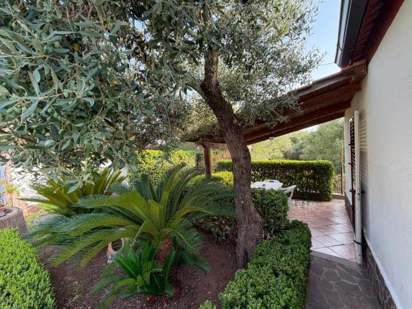 Villa Daisy - Ricadi