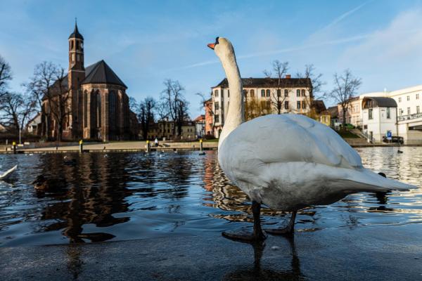 Haveltraum - Brandenburg an der Havel