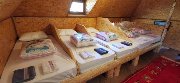 Pinetrees Lodge Hostel - Montenegro