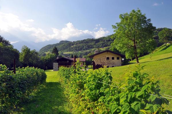Quader Nidi Nel Verde Authentic Farm Stay In The Italian Alps - Lombardy