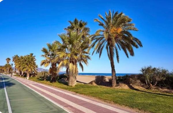 Villa Mery - Benicasim