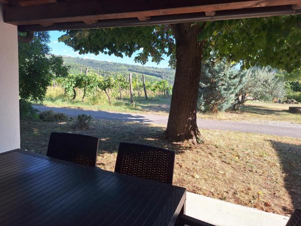 Apartma Buonin - Koper