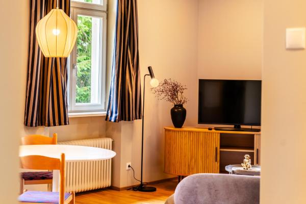 Neu Villa Schwerzenbach "Der Flaneur - Der Romantiker Der Villa - Bregenz
