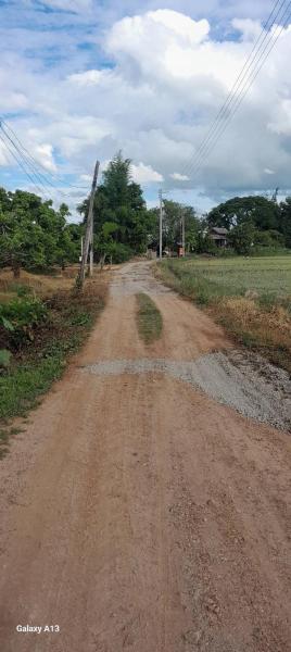ต้นกล้าฟาร์มสเตย์&พิซซ่าบ้านสวน - Chiang Mai