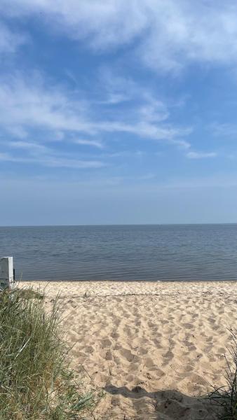 Seesternchen - Greifswald