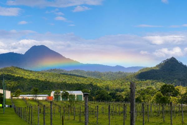 Peak View Villa At Flinders Peak Estate - Harrisville