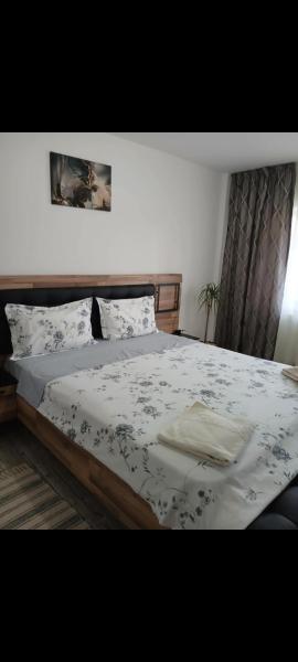 Apartament Manu 2 Dormitoare - Târgu Neamț
