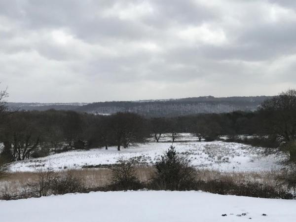 The Moss - Hathersage