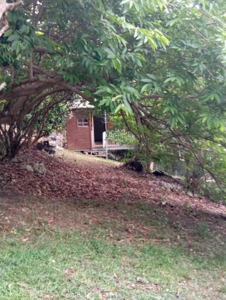 Cabane Dans Le Jardin - Guadeloupe