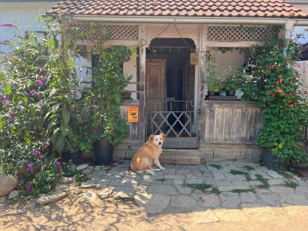 Farmapark Calamity Jane Farm Rooms - Czechia