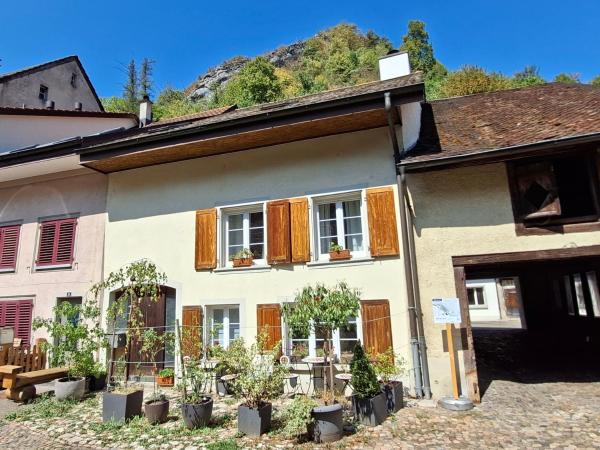 18th C Cottage Near Basel, Hiking, Business, Couples, Families, Groups, Parking, Fast Wifi, Jura Mountains - Suisse